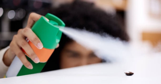 woman spraying bug at home