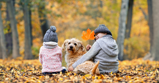 kids sitting with a dog in fall leaves.