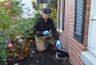 Residential Pest Control