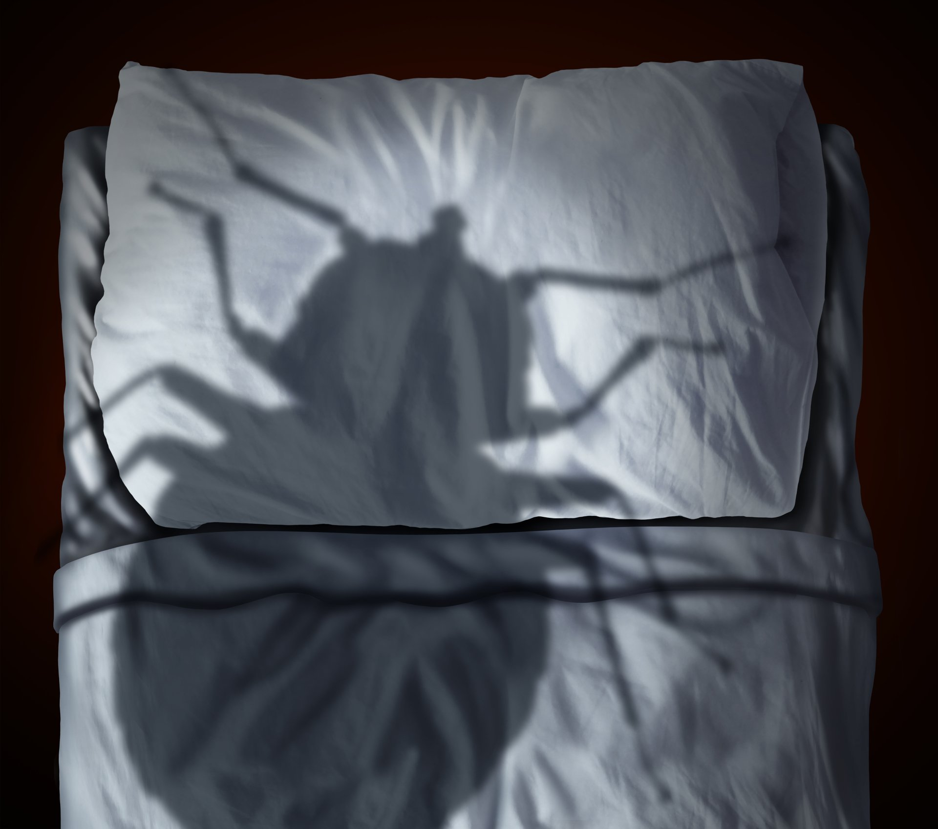bed bug on bed
